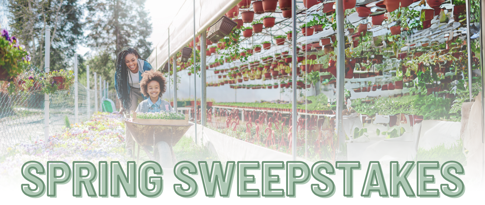 Spring Sweepstakes