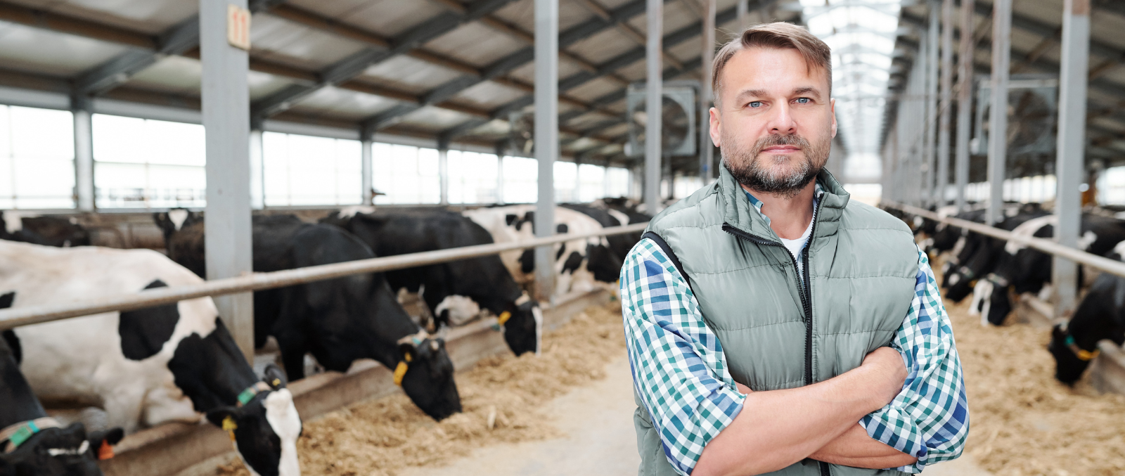 Male Farmer Standing Inside Cattle Barn He Built With A Farm Loan